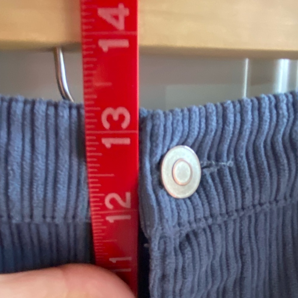 Women’s Wild Fable XXL Corduroy Blue Cargo Pants 30” Inseam 43” Waist - Picture 7 of 8